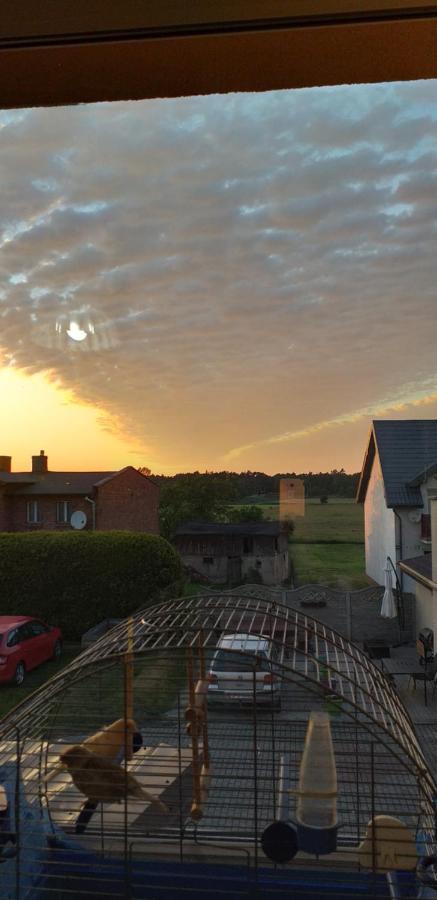 Pokoje Goscinne Dominik Ostrowo  Buitenkant foto